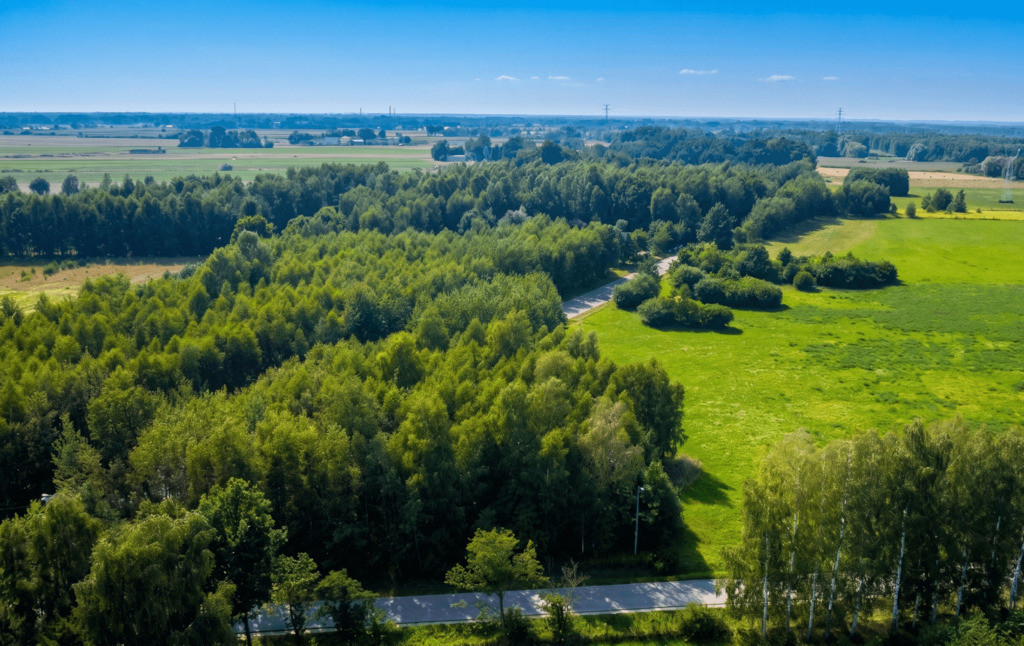 Działka Sprzedaż Strojec 4