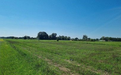 Działka Sprzedaż Leoncin