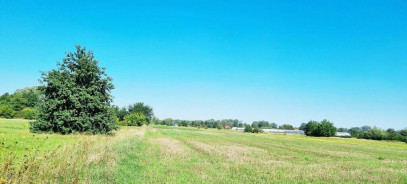 Działka Sprzedaż Leoncin