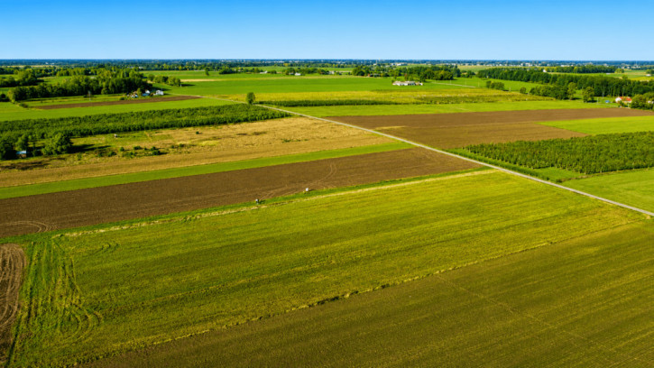 Działka Sprzedaż Nowe Paski 2