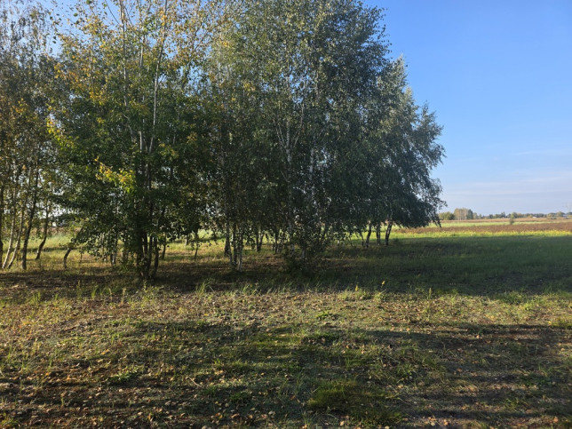 Działka Sprzedaż Błonie 1